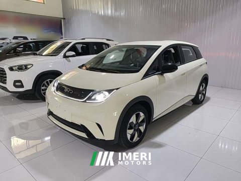 2025 BYD Dolphin 420km Freedom Edition - ავტომობილი ჩინეთიდან