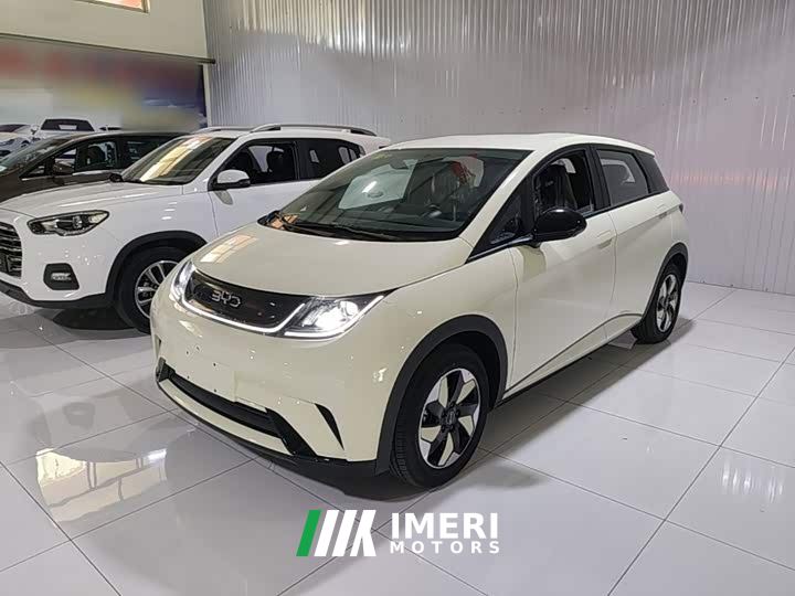 BYD Dolphin 420km Freedom Edition