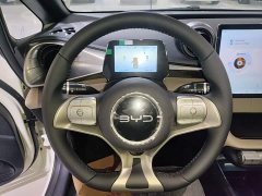 BYD Dolphin 420km Freedom Edition - ფოტო 11