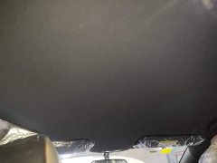 BYD Dolphin 420km Freedom Edition - ფოტო 18