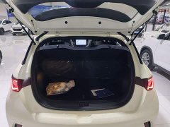 BYD Dolphin 420km Freedom Edition - ფოტო 19