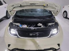 BYD Dolphin 420km Freedom Edition - ფოტო 20