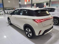 BYD Dolphin 420km Freedom Edition - ფოტო 5