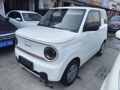 Geely Panda Mini 200km Endurance Edition - ფოტო 1