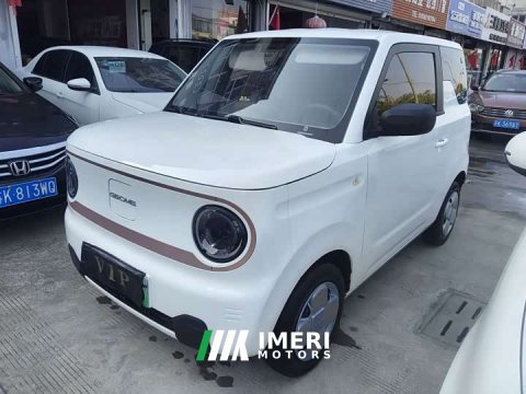 2024 Geely Panda Mini 200km Endurance Edition - ავტომობილი ჩინეთიდან