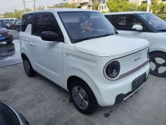 Geely Panda Mini 200km Endurance Edition - ფოტო 2