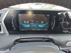 Neta U 2021 Facelift Pro 400 Industry Custom Edition - ფოტო 12
