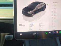Tesla Model 3 Performance All-Wheel Drive - ფოტო 12
