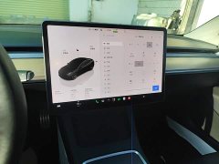 Tesla Model 3 Performance All-Wheel Drive - ფოტო 13