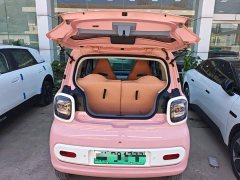 FAW Besturn Xiaoma 222km Dynamic Edition - ფოტო 19