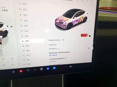 Tesla Model Y Rear-Wheel Drive - ფოტო 12