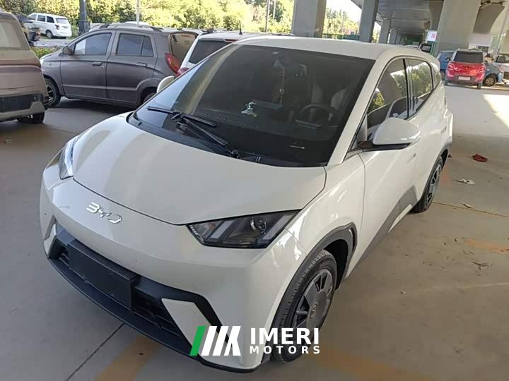 BYD Seagull Vitality Edition
