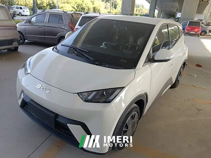 BYD Seagull Vitality Edition - ავტომობილი ჩინეთიდან