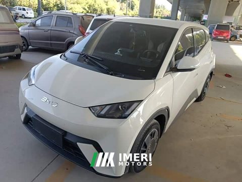 2023 BYD Seagull Vitality Edition - ავტომობილი ჩინეთიდან