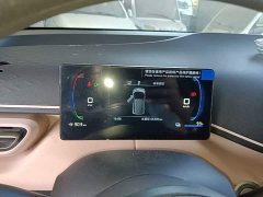BYD Seagull Vitality Edition - ფოტო 12