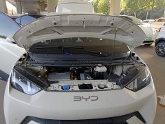 BYD Seagull Vitality Edition - ფოტო 20