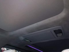 Zeekr 009 Seven-Seat Aisle Version 108kWh - ფოტო 18
