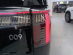 Zeekr 009 Seven-Seat Aisle Version 108kWh - ფოტო 8
