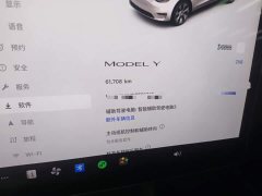 Tesla Model Y Rear-Wheel Drive - ფოტო 12