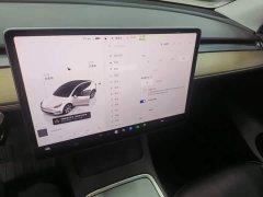 Tesla Model Y Rear-Wheel Drive - ფოტო 13