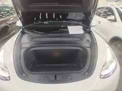 Tesla Model Y Rear-Wheel Drive - ფოტო 20