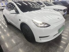 Tesla Model Y Rear-Wheel Drive - ფოტო 4