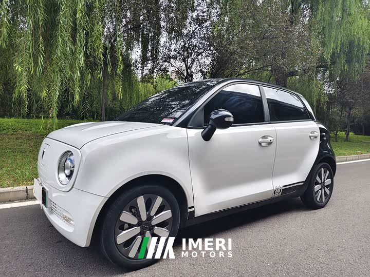 ORA Black Cat 351km Luxury - ავტომობილი ჩინეთიდან