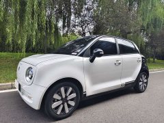 ORA Black Cat 351km Luxury - ფოტო 1