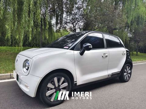 2021 ORA Black Cat 351km Luxury