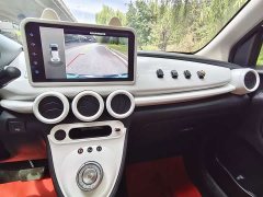 ORA Black Cat 351km Luxury - ფოტო 15