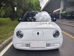 ORA Black Cat 351km Luxury - ფოტო 2