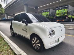 ORA Black Cat 351km Luxury - ფოტო 3