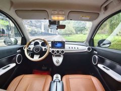 ORA Black Cat 351km Luxury - ფოტო 8