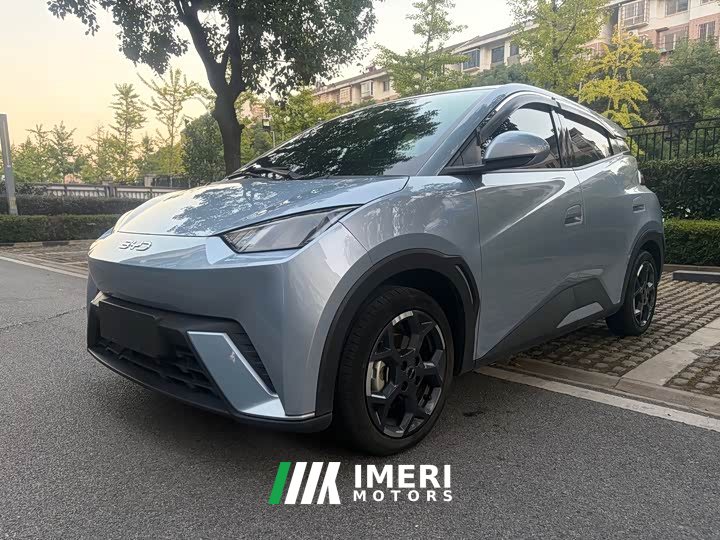 BYD Seagull Glory Edition 305km Vitality Version - ავტომობილი ჩინეთიდან