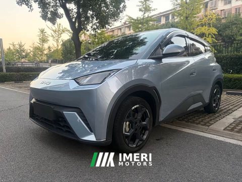 2024 BYD Seagull Glory Edition 305km Vitality Version - car from China