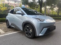 BYD Seagull Glory Edition 305km Vitality Version - ფოტო 2