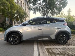 BYD Seagull Glory Edition 305km Vitality Version - ფოტო 6