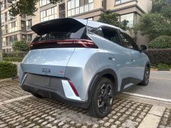 BYD Seagull Glory Edition 305km Vitality Version - ფოტო 9