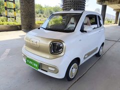 FAW Besturn Xiaoma 222km Agile Edition - ფოტო 2