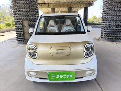 FAW Besturn Xiaoma 222km Agile Edition - ფოტო 3