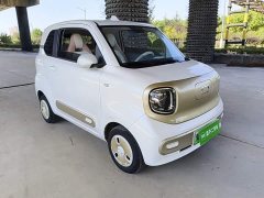 FAW Besturn Xiaoma 222km Agile Edition - ფოტო 4