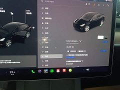 Tesla Model Y Standard Range RWD - ფოტო 12