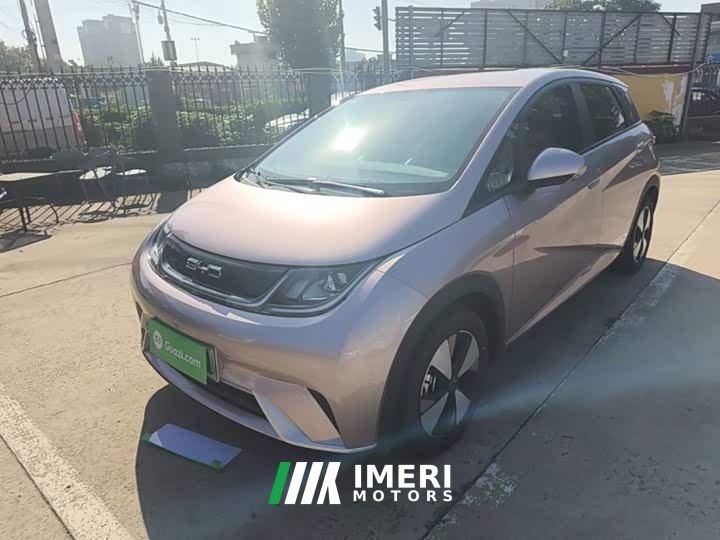 BYD Dolphin 420km Freedom Edition