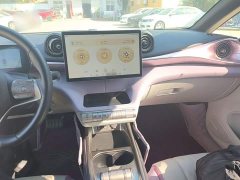 BYD Dolphin 2023 420km Freedom Edition - ფოტო 10