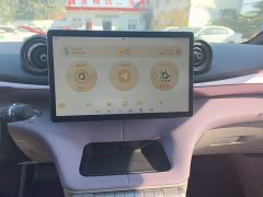 BYD Dolphin 2023 420km Freedom Edition - ფოტო 13