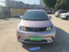 BYD Dolphin 2023 420km Freedom Edition - ფოტო 3