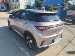 BYD Dolphin 2023 420km Freedom Edition - ფოტო 5