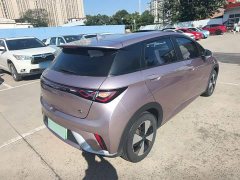 BYD Dolphin 2023 420km Freedom Edition - ფოტო 7