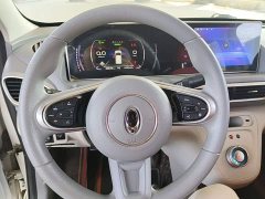 ORA White Cat 2020 305km Luxury - ფოტო 11