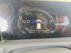 ORA White Cat 2020 305km Luxury - ფოტო 12